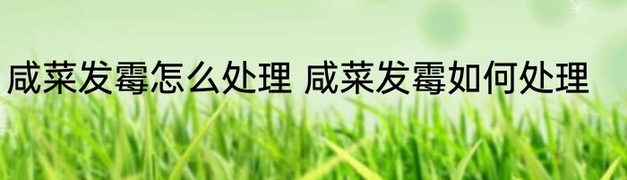 咸菜发霉怎么处理 咸菜发霉如何处理