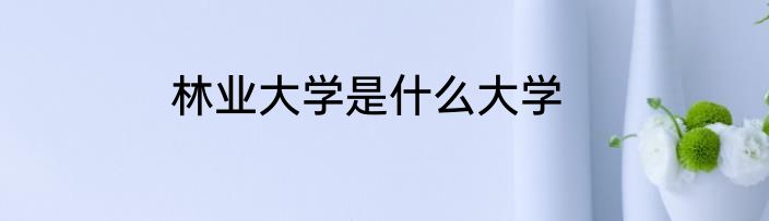 林业大学是什么大学