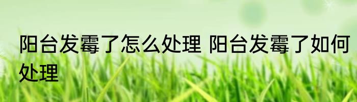 阳台发霉了怎么处理 阳台发霉了如何处理