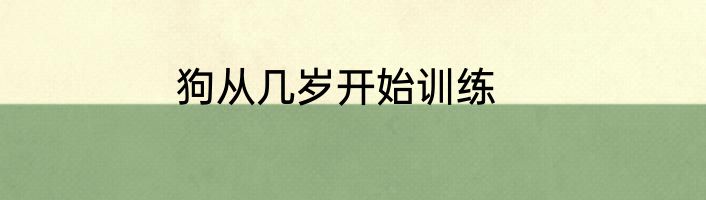 狗从几岁开始训练