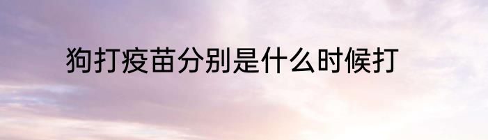 狗打疫苗分别是什么时候打