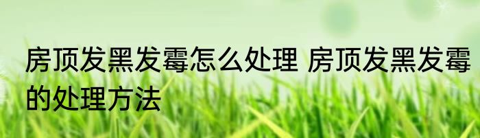房顶发黑发霉怎么处理 房顶发黑发霉的处理方法