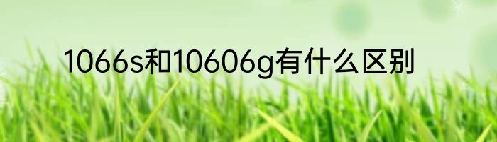 1066s和10606g有什么区别
