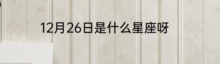 12月26日是什么星座呀