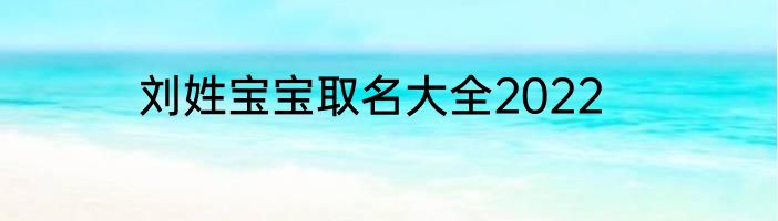 刘姓宝宝取名大全2022