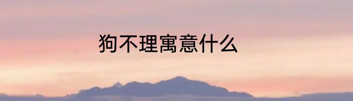 狗不理寓意什么