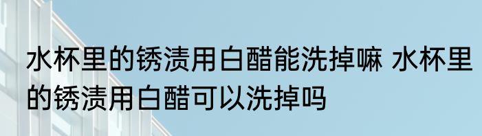 水杯里的锈渍用白醋能洗掉嘛 水杯里的锈渍用白醋可以洗掉吗