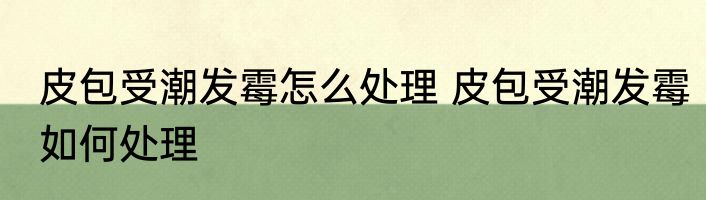 皮包受潮发霉怎么处理 皮包受潮发霉如何处理