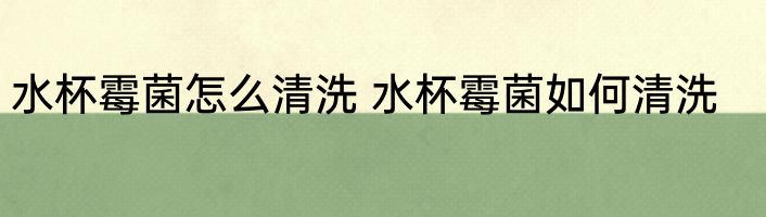 水杯霉菌怎么清洗 水杯霉菌如何清洗