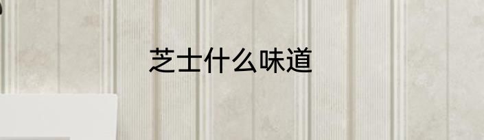 芝士什么味道