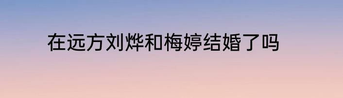 在远方刘烨和梅婷结婚了吗