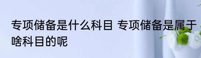 专项储备是什么科目 专项储备是属于啥科目的呢