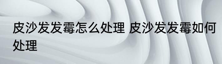 皮沙发发霉怎么处理 皮沙发发霉如何处理