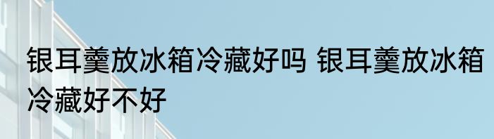 银耳羹放冰箱冷藏好吗 银耳羹放冰箱冷藏好不好