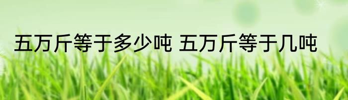 五万斤等于多少吨 五万斤等于几吨