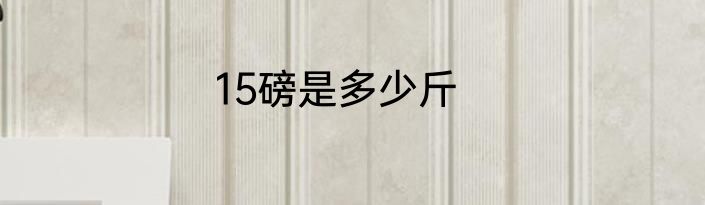15磅是多少斤