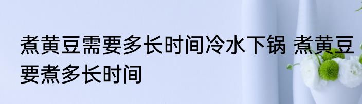 煮黄豆需要多长时间冷水下锅 煮黄豆要煮多长时间