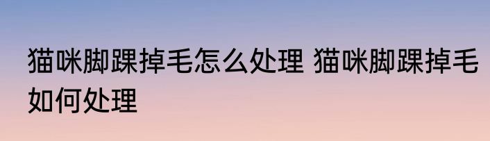 猫咪脚踝掉毛怎么处理 猫咪脚踝掉毛如何处理
