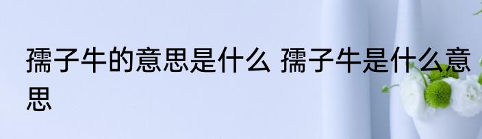 孺子牛的意思是什么 孺子牛是什么意思