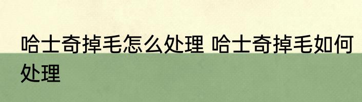 哈士奇掉毛怎么处理 哈士奇掉毛如何处理