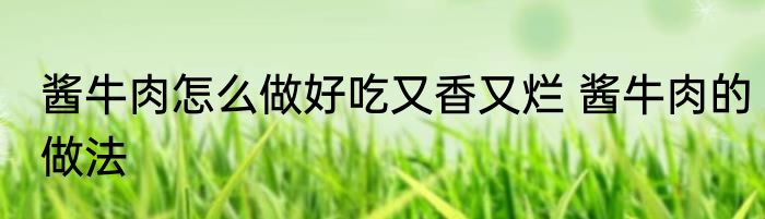 酱牛肉怎么做好吃又香又烂 酱牛肉的做法