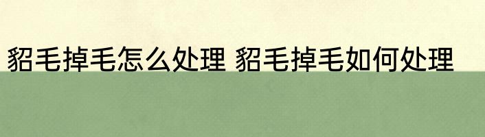 貂毛掉毛怎么处理 貂毛掉毛如何处理