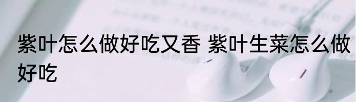 紫叶怎么做好吃又香 紫叶生菜怎么做好吃