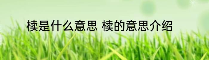 椟是什么意思 椟的意思介绍