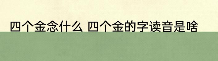 四个金念什么 四个金的字读音是啥