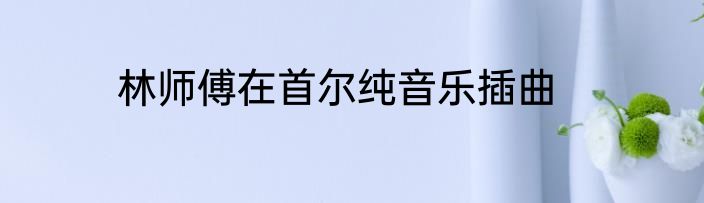 林师傅在首尔纯音乐插曲