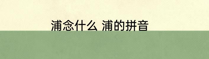 浦念什么 浦的拼音