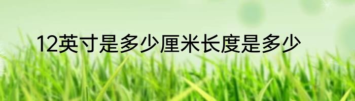 12英寸是多少厘米长度是多少