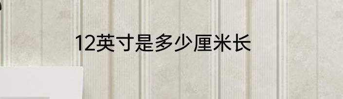 12英寸是多少厘米长