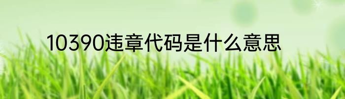 10390违章代码是什么意思