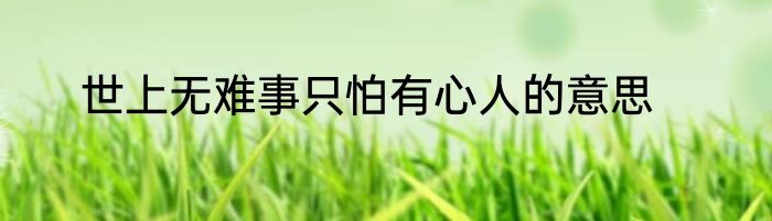 世上无难事只怕有心人的意思