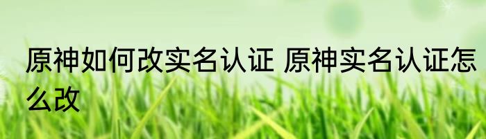 原神如何改实名认证 原神实名认证怎么改