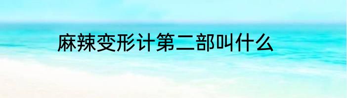 麻辣变形计第二部叫什么