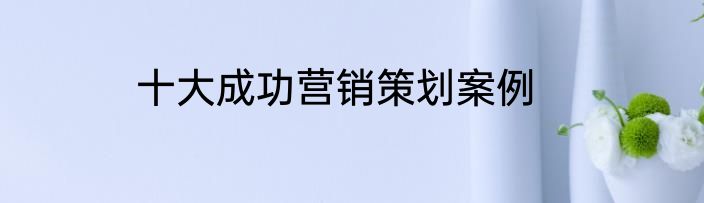 十大成功营销策划案例