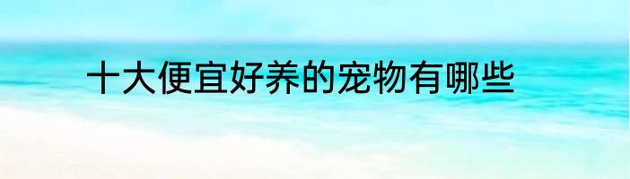 十大便宜好养的宠物有哪些