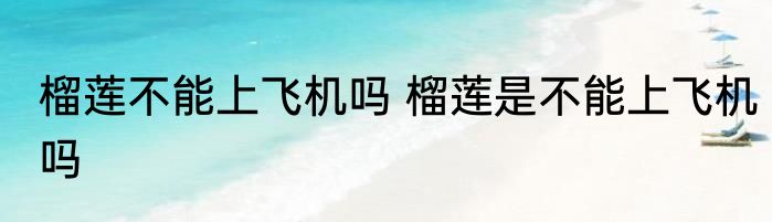 榴莲不能上飞机吗 榴莲是不能上飞机吗