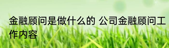 金融顾问是做什么的 公司金融顾问工作内容