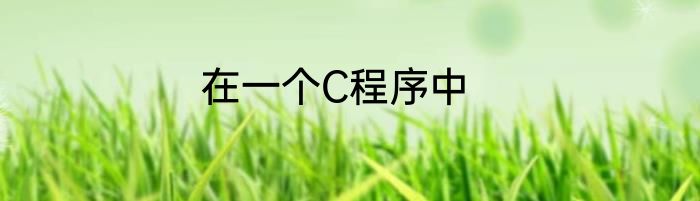 在一个C程序中