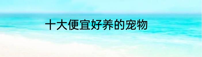 十大便宜好养的宠物