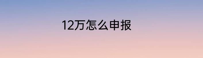 12万怎么申报