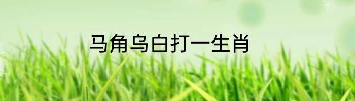 马角乌白打一生肖