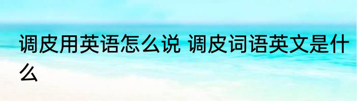 调皮用英语怎么说 调皮词语英文是什么