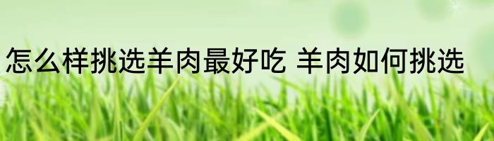 怎么样挑选羊肉最好吃 羊肉如何挑选