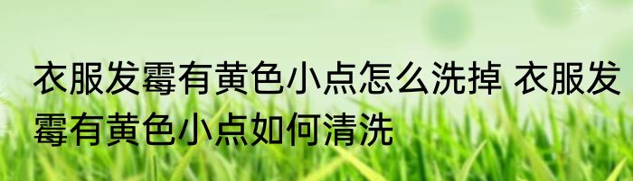 衣服发霉有黄色小点怎么洗掉 衣服发霉有黄色小点如何清洗