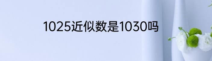 1025近似数是1030吗