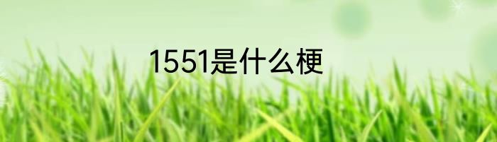 1551是什么梗